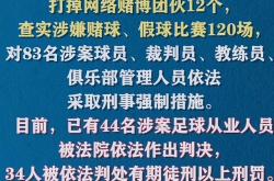 包含球员公开抨击裁判判罚不公，引发球迷热议的词条