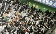 观众席上球迷们激情高涨，为队员们呐喊助威